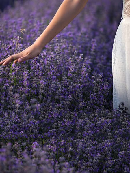 La verdadera superación de la soledad es lograr un equilibrio interno y la paz interior